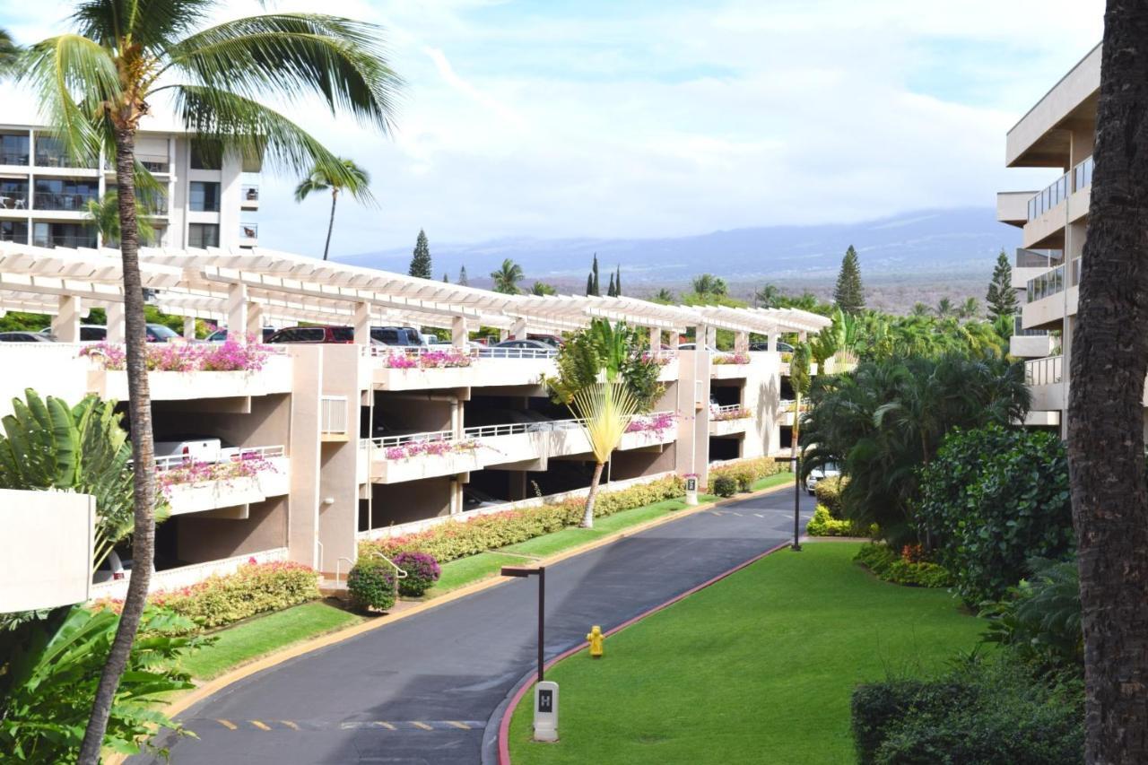 维雷亚Maui Banyan G310C公寓 外观 照片